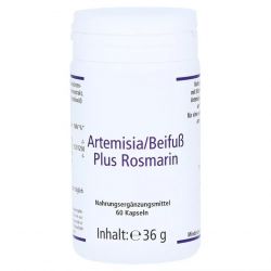 Артемизинин 150 мг капс. 60шт в Глазове и области фото