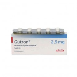 Гутрон таблетки 2,5 мг. №20 в Глазове и области фото
