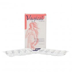 Вагикаль суппозитории вагинальные 150 мг N10 в Глазове и области фото
